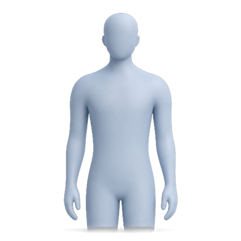Patient torso