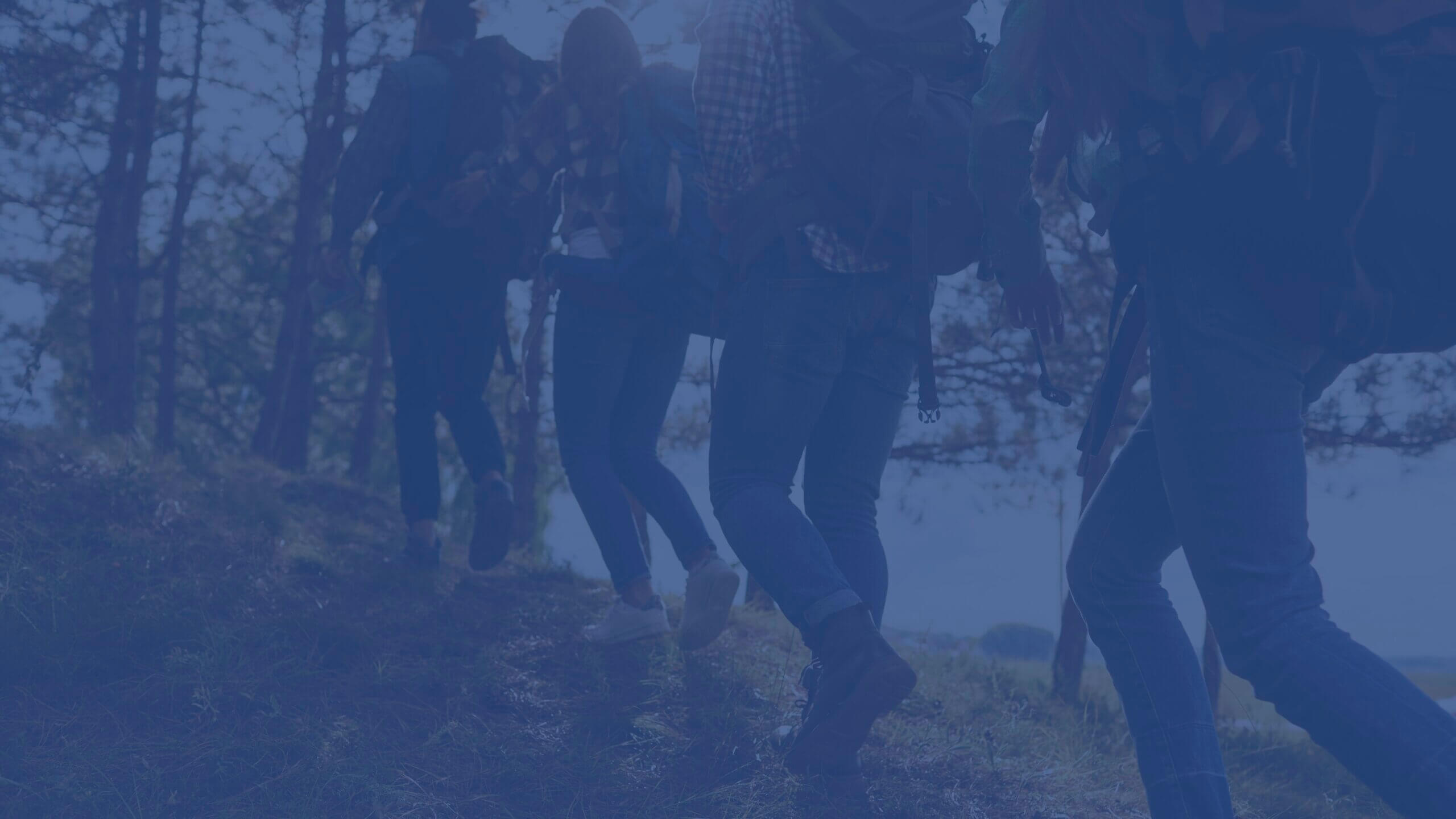 2025 Innovation & Impact Report